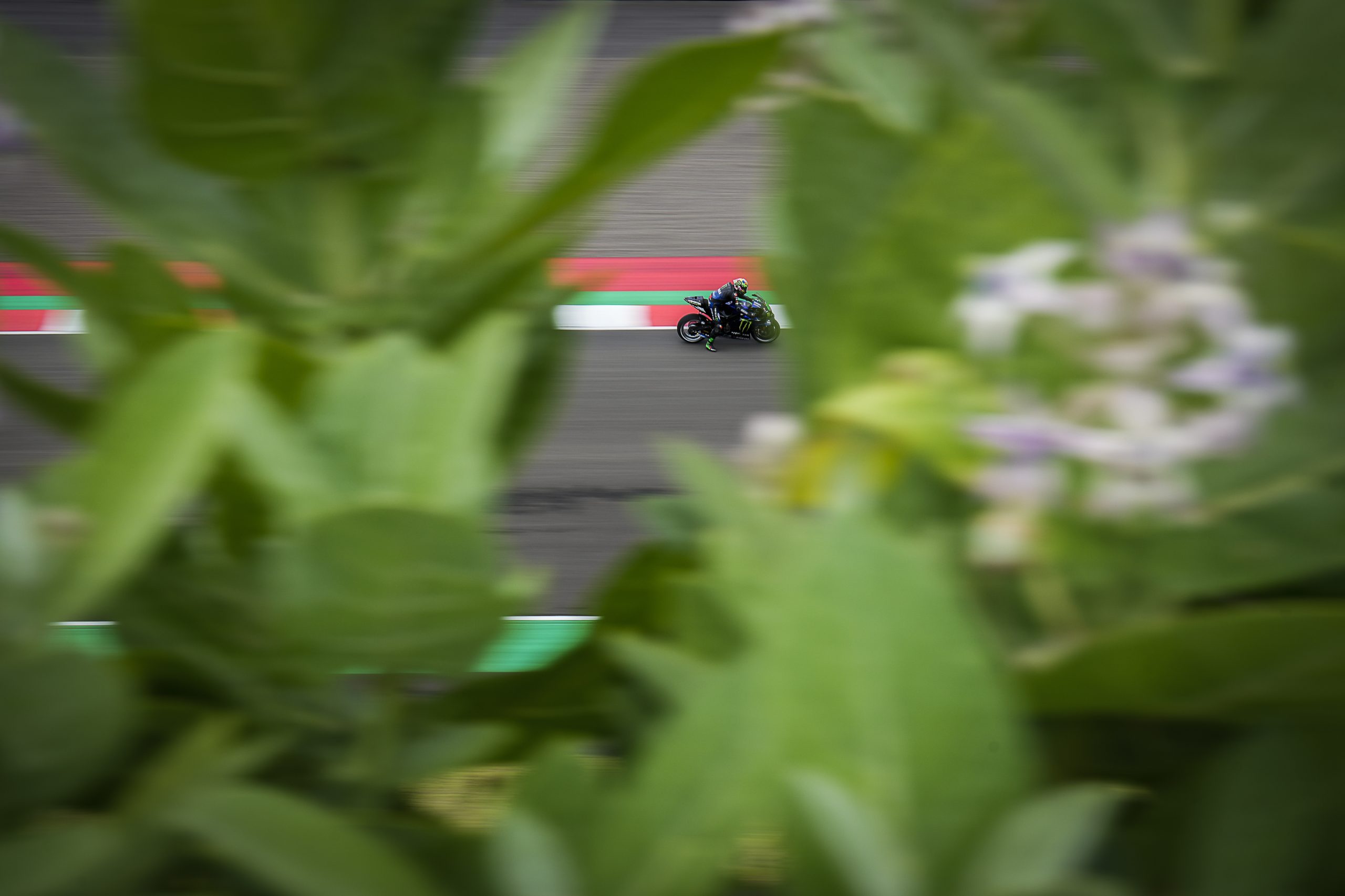 Bentornata Indonesia! - Morbidelli