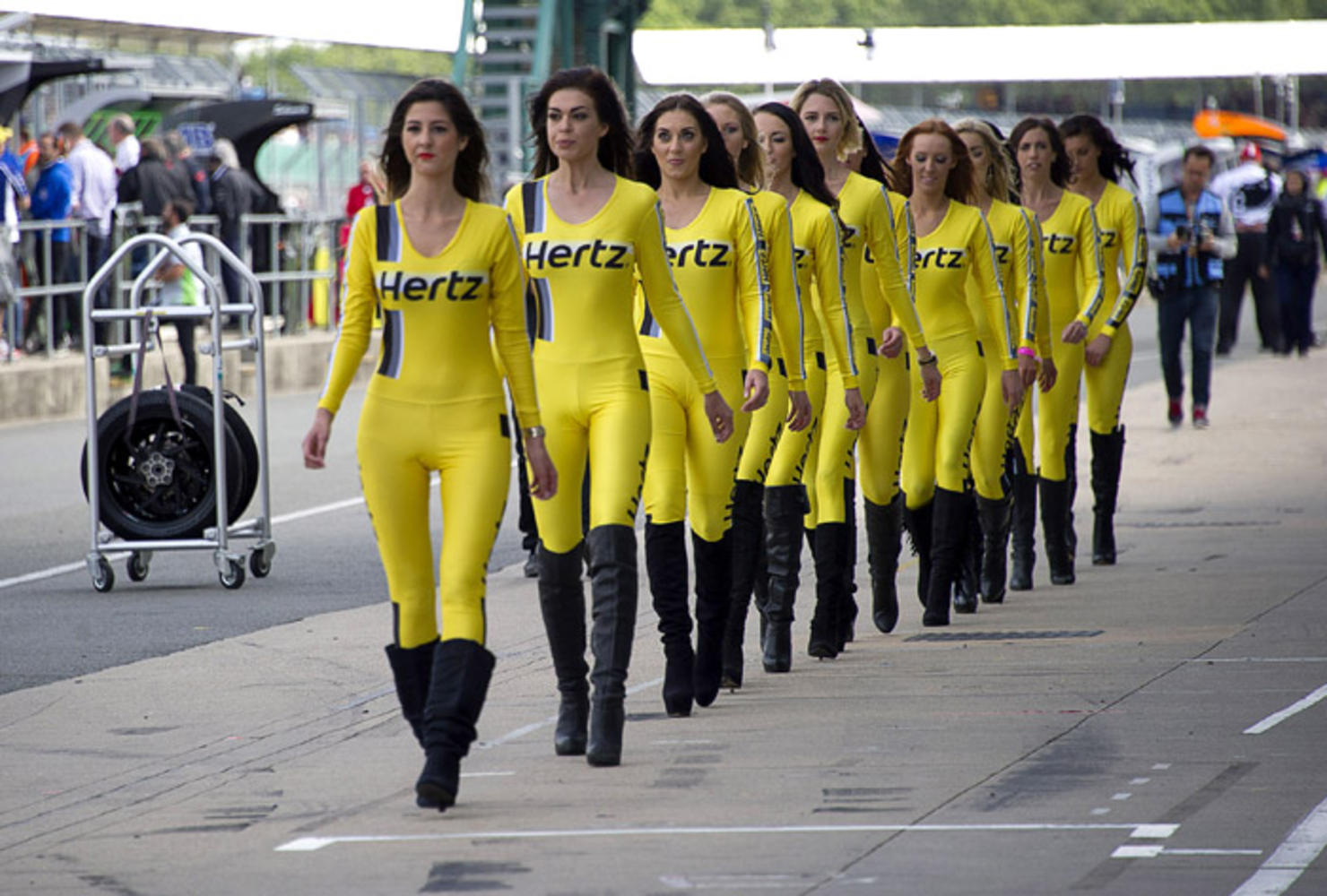 Paddock-Girls